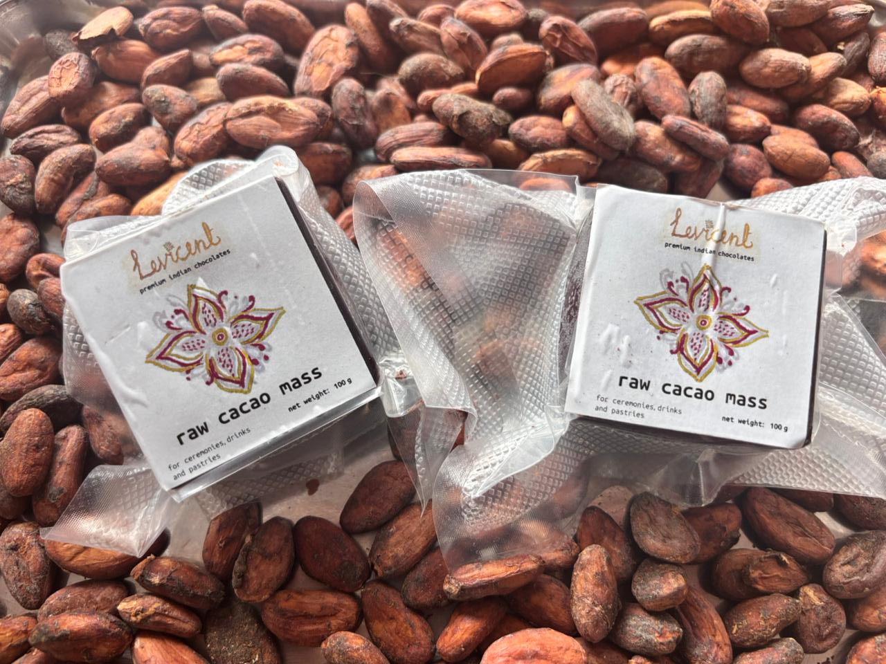 Raw cacao beans and small blocks of stone-ground cacao mass